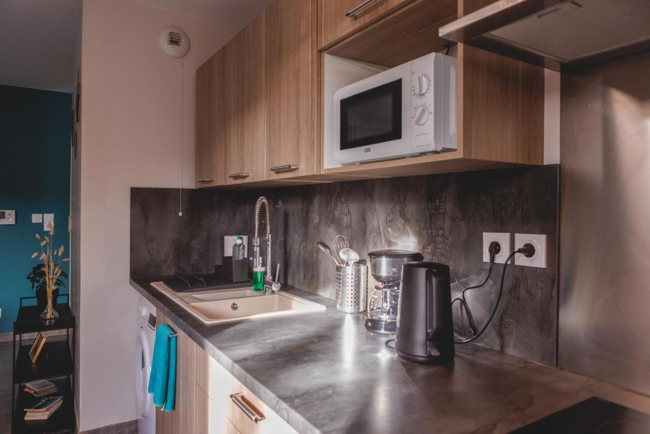 Superbe Appartement Terrasse Rdc - New Location Bourg-en-Bresse Kültér fotó